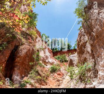 Ammira uno dei canyon di sabbia del Providence Canyon state Park nella Georgia sud-occidentale in estate. Foto Stock