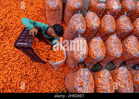 Gli agricoltori stanno lavando e trasformando le carote Foto Stock