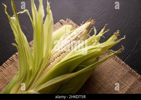 Vista dall'alto immagine di mais bianco grezzo sulla pannocchia su superficie rustica nera. Spazio copia. Primo piano. Foto Stock