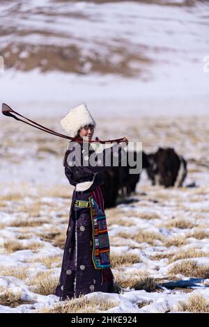 (220204) -- LHASA, 4 febbraio 2022 (Xinhua) -- Tenzin Drolma allevia bestiame nel villaggio di Gyaga della contea di Damxung, regione autonoma del Tibet della Cina sud-occidentale, 18 gennaio 2022. Tenzin Drolma, 21 anni, è nato sulla prateria vicino al lago Nottso in Tibet. Nel 2020, è stata ammessa al Jiangsu Food and Pharmaceutical Science College nella provincia di Jiangsu della Cina orientale come studente di farmacia cinese. La vita universitaria nel mondo esterno è fresca di Drolma. Ha incontrato molti nuovi compagni di classe e ha fatto molti amici. Quando arrivò la vacanza invernale, Drolma tornò alla sua amata casa. "Lascio la mia città per venire Foto Stock