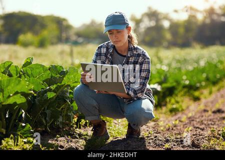 Rendere le cose un po 'più facile. Scatto completo di una giovane agricoltore attraente usando una tavoletta mentre lavora nella sua fattoria. Foto Stock