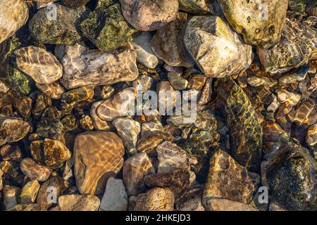 Creek pietre nelle acque cristalline del South Sylamore Creek nelle Ozark Mountains a Mountain View, Arkansas. (USA) Foto Stock