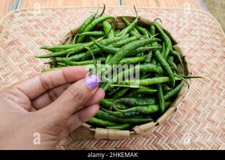 Donna in azienda che acquista vendere sottile e lungo verde chiaro colora verde chilis heap nel cestino di vimini. Fresco biologico peperoncino vegetale piccante piccante da Foto Stock