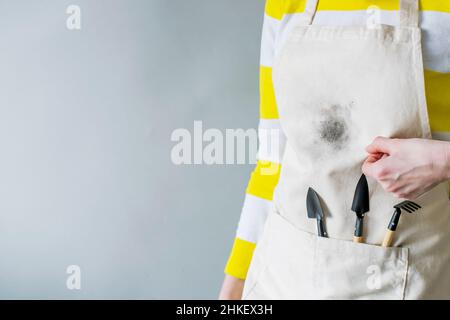 Macchia di terreno sui vestiti. Donna irriconoscibile trapiantare piante su sfondo grigio. Spazio per il testo Foto Stock