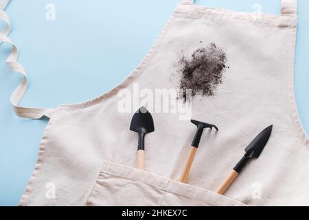 Trapiantando pianta domestica. Sporco macchia sul grembiule. Isolato su sfondo blu. Vista dall'alto. Foto di alta qualità Foto Stock