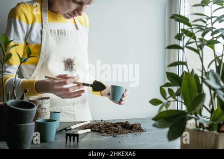 Sporco macchia sui vestiti. Unriconoscable femmina trapiantando pianta domestica vicino alla finestra. Spazio per il testo. Foto di alta qualità Foto Stock