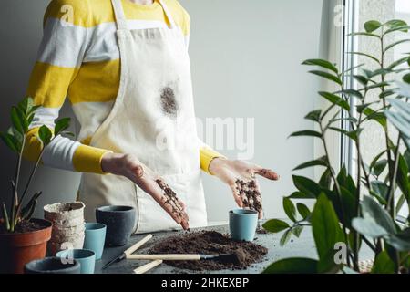 Donna che mostra le mani sporche a terra mentre trapiantano le piante d'appartamento. Foto di alta qualità Foto Stock