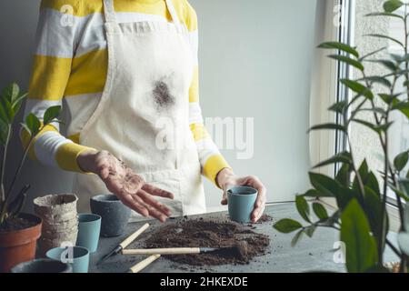 Donna che mostra le mani sporche a terra mentre trapiantano le piante d'appartamento. Foto di alta qualità Foto Stock