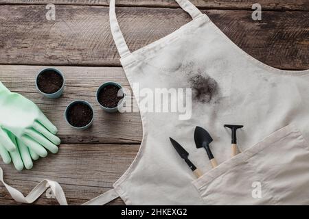 Trapiantando pianta domestica. Sporco macchia sul grembiule. Isolato su sfondo di legno. Vista dall'alto. Foto di alta qualità Foto Stock