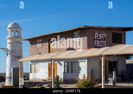 Un edificio abbandonato che ospitava cuccioli abbandonati che non avevano una casa. Situato nel quartiere dell'Arte, Puerto Penasco, Messico. Foto Stock