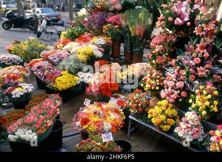 RAMBLA DE LAS FLORES-DET PUESTO DE UNA FLORISTERIA - FOTO AÑOS 90. Ubicazione: Ramblas. Barcellona. SPAGNA. Foto Stock