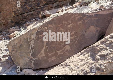 Targhetta con Leone uomo Twyfelfontein incisione Rock in Namibia Foto Stock