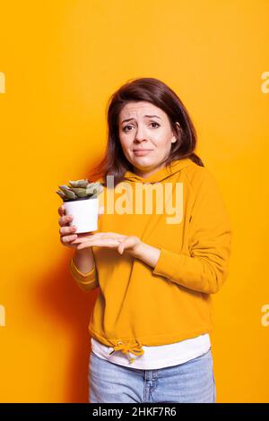 Pentola di tenuta giovane adulto con foglie verdi sulla pianta in mano. Donna caucasica che mostra la casa naturale come decorazione. Persona che ha oggetto con vegetazione e botanica organica Foto Stock