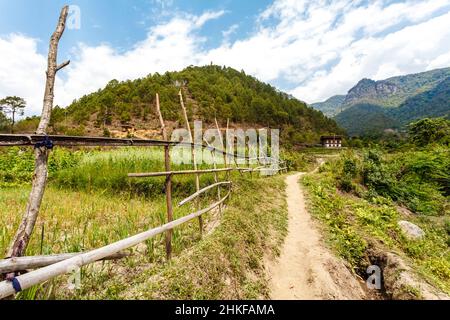 Paesaggio rurale con campi di riso in una valle vicino Punakha nel Bhutan centrale, Asia Foto Stock