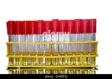 Provette contenenti terreni Foto Stock