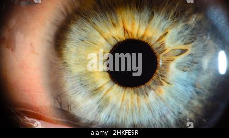 Foto macro molto ravvicinata dell'occhio umano. Dettaglio dell'occhio umano in primo piano con profondità di campo ridotta. Foto Stock