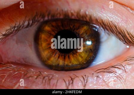 Foto macro molto ravvicinata dell'occhio umano. Dettaglio dell'occhio umano in primo piano con profondità di campo ridotta. Foto Stock