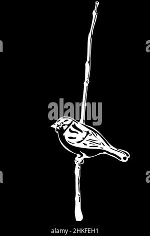 disegno vettoriale bianco e nero di un piccolo uccello su un passero di ramo Foto Stock