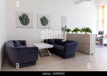Minsk, Bielorussia - 05 gennaio 2022: Foto di due divani viola scuro, un tavolino da caffè, dipinti con fiori e piante verdi in ufficio. Interno. Foto Stock