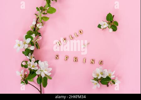 un ramo di un melo fiorito, boccioli e fiori con foglie verdi su sfondo rosa con l'iscrizione - ciao primavera. vista dall'alto. piatto Foto Stock