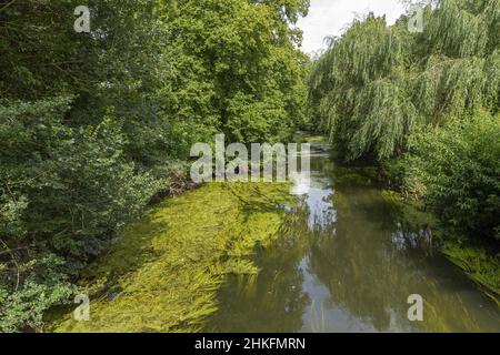 Francia, Eure-et-Loir, Lèves, il fiume Eure Foto Stock