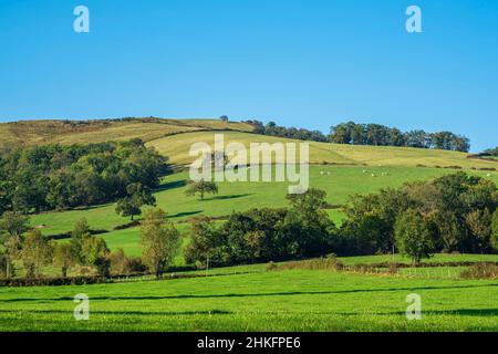 Francia, Pirenei Atlantici, Ostabat-ASME, tappa sulla via Lemovicensis o Vezelay, una delle vie principali per Santiago de Compostela Foto Stock