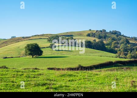 Francia, Pirenei Atlantici, Ostabat-ASME, tappa sulla via Lemovicensis o Vezelay, una delle vie principali per Santiago de Compostela Foto Stock