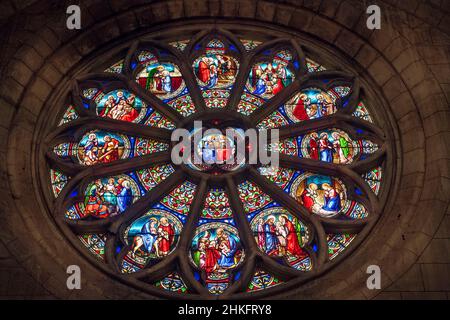 Francia, Gironde, la Reole, città d'arte e di storia, palcoscenico sulla via Lemovicensis o Vezelay, uno dei modi principali per Santiago de Compostela, chiesa di Saint-Pierre, rosa con 19th secolo vetrate nel transetto sud raffigurante la vita di Maria Foto Stock