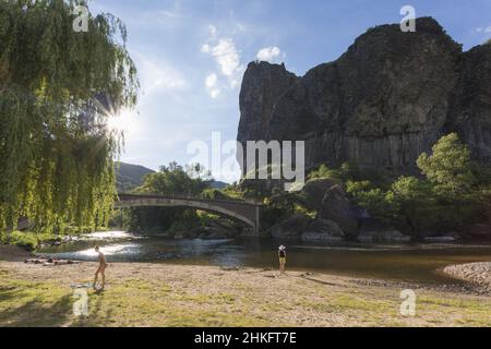 Francia, Haute-Loire, Prades, colonnari basaltici articolata nella parte superiore del fiume Allier Foto Stock