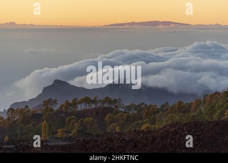 Spagna, Isole Canarie, Tenerife, mare di nuvole oltre le TF38 al tramonto, l'isola di la Palma sullo sfondo Foto Stock