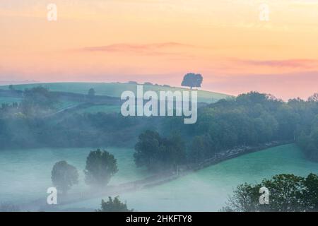 Francia, Pirenei Atlantici, Ostabat-ASME, tappa sulla via Lemovicensis o Vezelay, una delle vie principali per Santiago de Compostela Foto Stock