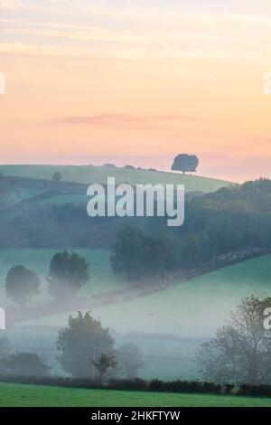 Francia, Pirenei Atlantici, Ostabat-ASME, tappa sulla via Lemovicensis o Vezelay, una delle vie principali per Santiago de Compostela Foto Stock