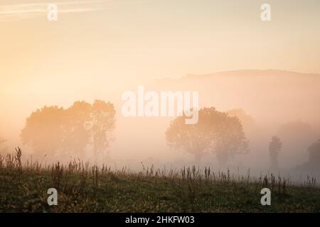 Francia, Pirenei Atlantici, Ostabat-ASME, tappa sulla via Lemovicensis o Vezelay, una delle vie principali per Santiago de Compostela Foto Stock