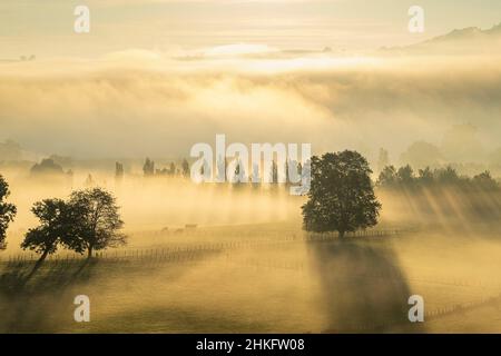 Francia, Pirenei Atlantici, Ostabat-ASME, tappa sulla via Lemovicensis o Vezelay, una delle vie principali per Santiago de Compostela Foto Stock