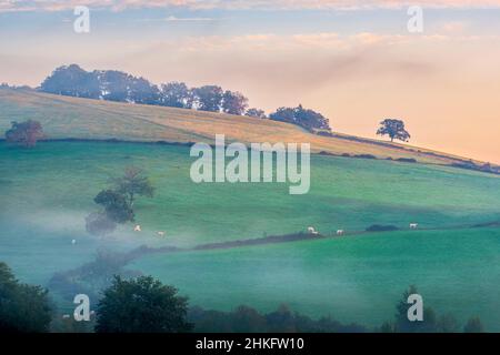 Francia, Pirenei Atlantici, Ostabat-ASME, tappa sulla via Lemovicensis o Vezelay, una delle vie principali per Santiago de Compostela Foto Stock