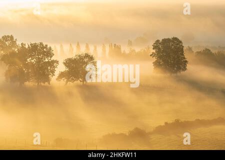 Francia, Pirenei Atlantici, Ostabat-ASME, tappa sulla via Lemovicensis o Vezelay, una delle vie principali per Santiago de Compostela Foto Stock