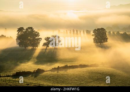 Francia, Pirenei Atlantici, Ostabat-ASME, tappa sulla via Lemovicensis o Vezelay, una delle vie principali per Santiago de Compostela Foto Stock