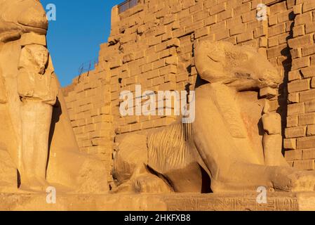 Egitto, Alto Egitto, Valle del Nilo, Luxor, Tempio di Karnak, RAM Alley Foto Stock