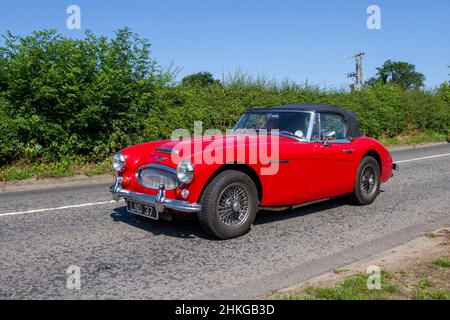 1966 60s anni Sessanta, rosso Austin Healey BJ8 3000cc benzina convertibile; in rotta per Capesthorne Hall classica mostra di luglio, Cheshire, Regno Unito Foto Stock