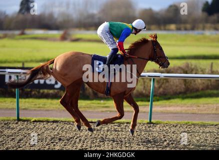 Forza poetica cavalcata dal jockey David Probert all'ippodromo di Lingfield Park, Surrey. Data immagine: Venerdì 4 febbraio 2022. Foto Stock