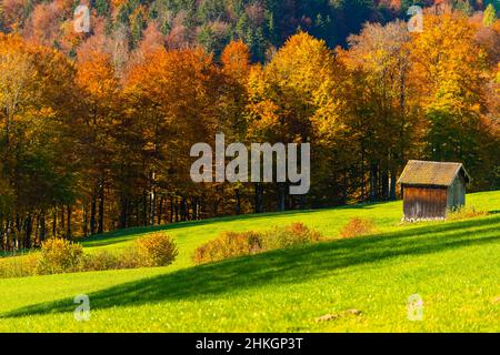 Accanto all'Alpenstrasse vicino a Ramsau, Berchtesgadener Land, Alpi bavaresi, alta Baviera, Germania meridionale, Europa centrale Foto Stock