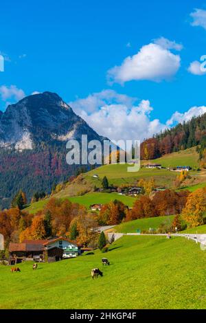 Accanto all'Alpenstrasse vicino a Ramsau, Berchtesgadener Land, Alpi bavaresi, alta Baviera, Germania meridionale, Europa centrale Foto Stock