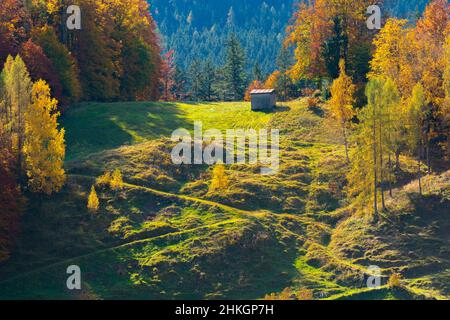 Accanto all'Alpenstrasse vicino a Ramsau, Berchtesgadener Land, Alpi bavaresi, alta Baviera, Germania meridionale, Europa centrale Foto Stock