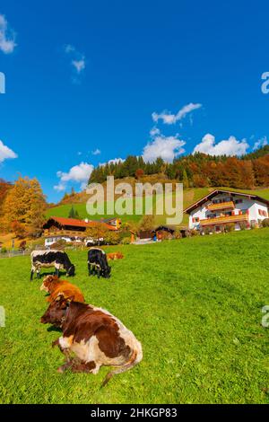 Accanto all'Alpenstrasse vicino a Ramsau, Berchtesgadener Land, Alpi bavaresi, alta Baviera, Germania meridionale, Europa centrale Foto Stock