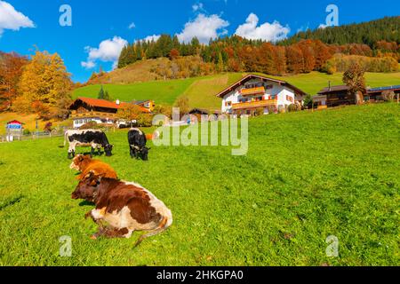 Accanto all'Alpenstrasse vicino a Ramsau, Berchtesgadener Land, Alpi bavaresi, alta Baviera, Germania meridionale, Europa centrale Foto Stock