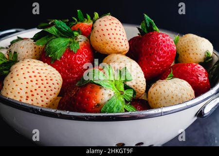 Miscela di anacche intere e fragole in un colino: Vista ravvicinata delle fragole rosse e bianche appena lavate Foto Stock