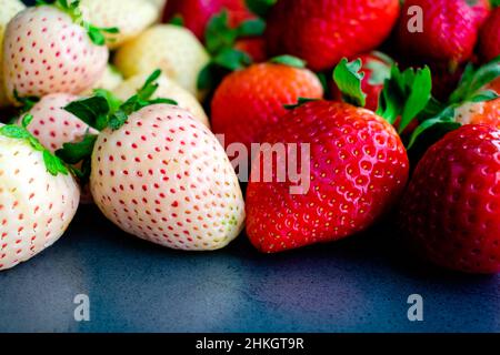 Primo piano Vista di anacche e fragole intere: Fragole fresche rosse e bianche su sfondo scuro Foto Stock