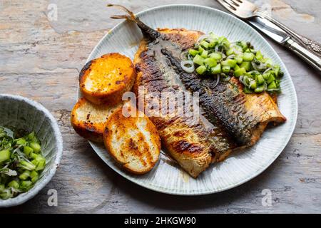 Sgombro fritto con burro piccante e salsa di cetrioli Foto Stock