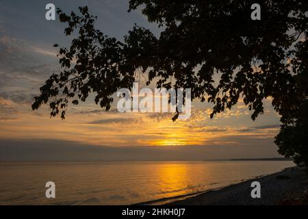 Rami di alberi e foglie che si affacciano sul tramonto tramontando il sole sul lago, riflettendo la luce dorata sull'acqua del paesaggio panoramico del lago Ontario Canada Foto Stock