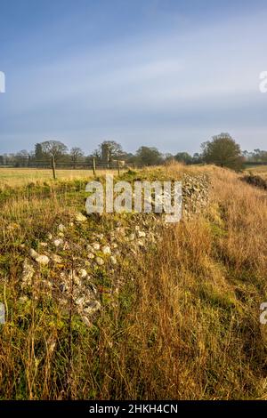 Lungo la rovinata parete difensiva di Venta Icenorum, il sito della capitale romana di Norfolk, Inghilterra Foto Stock